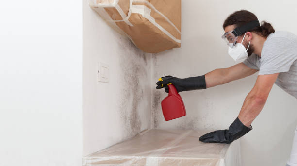 Professional Crawl Space Mold Remediation technician working in Gasburg, VA