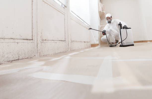 24/7 Emergency Crawl Space Mold Remediation experts in Gasburg, VA