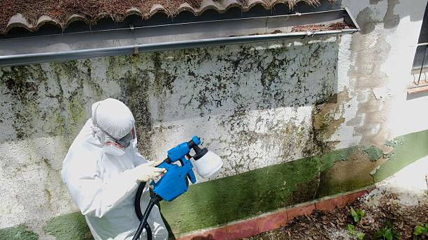 Top rated local Crawl Space Mold Remediation specialists in Gasburg, VA